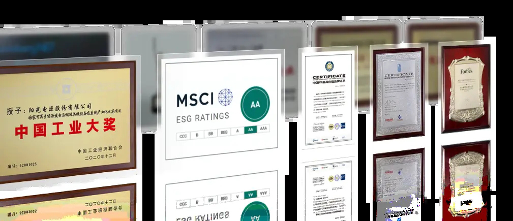 1723432032729502.jpg 09.jpg