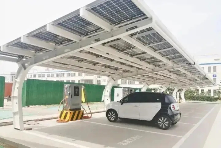 1723432181978448.jpg 14.jpg